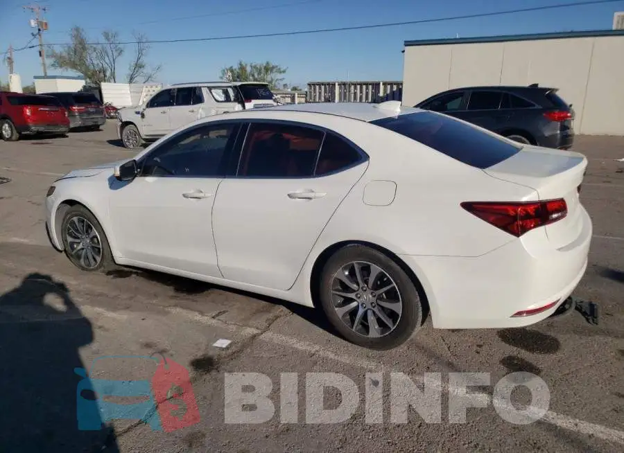 19UUB1F35FA022177 Photo# 2