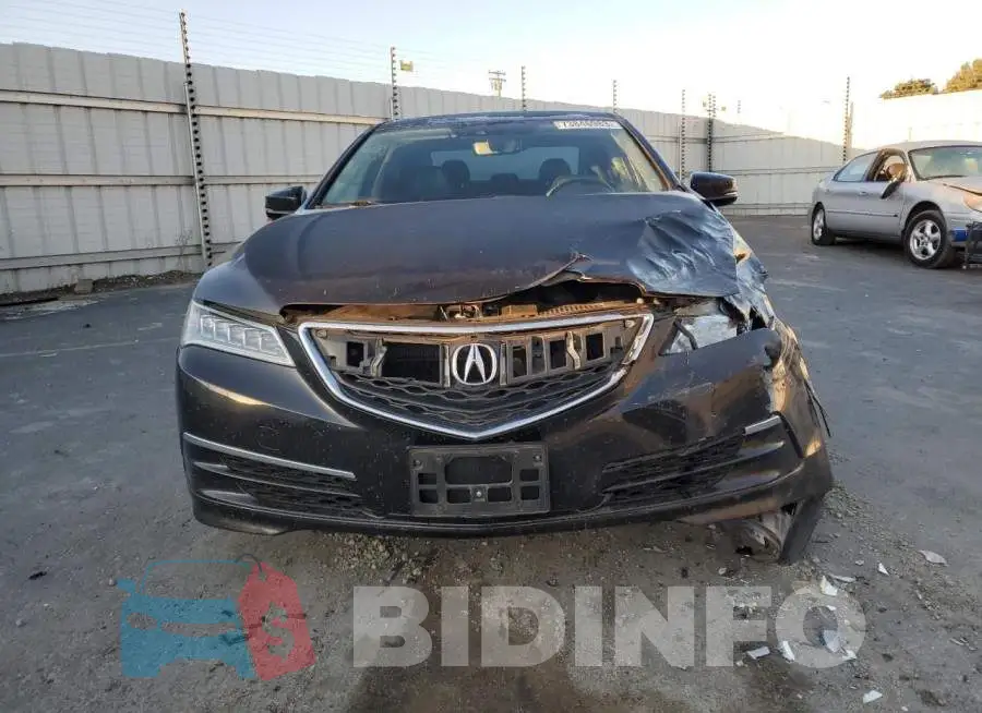 19UUB1F53GA012041 Photo# 5