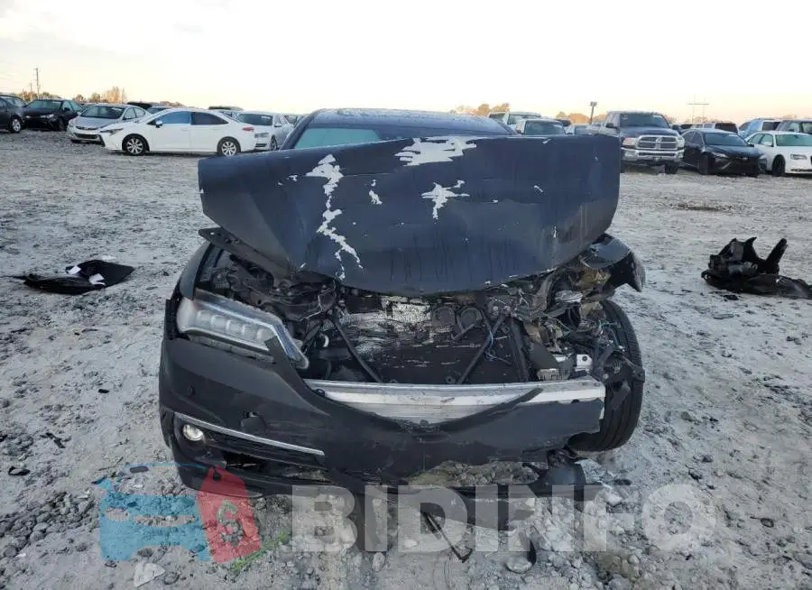 19UUB2F73FA002406 Photo# 5