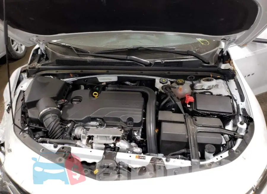 1G1ZD5ST6PF213356 Photo# 11