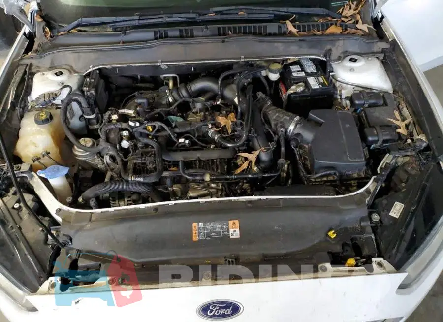 3FA6P0HD1GR311000 Photo# 11