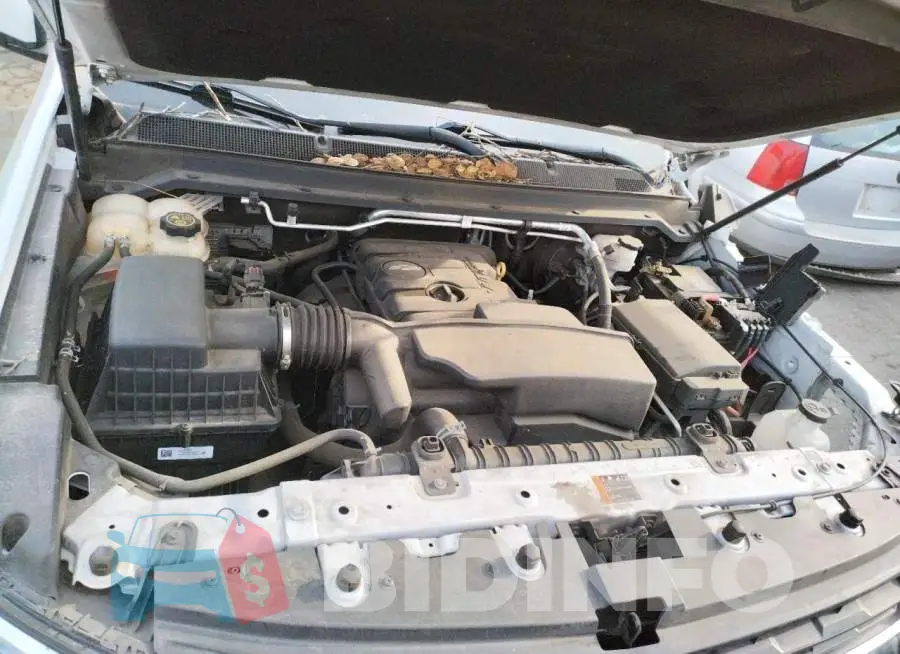 1GCGSCEA8K1124879 Photo# 11
