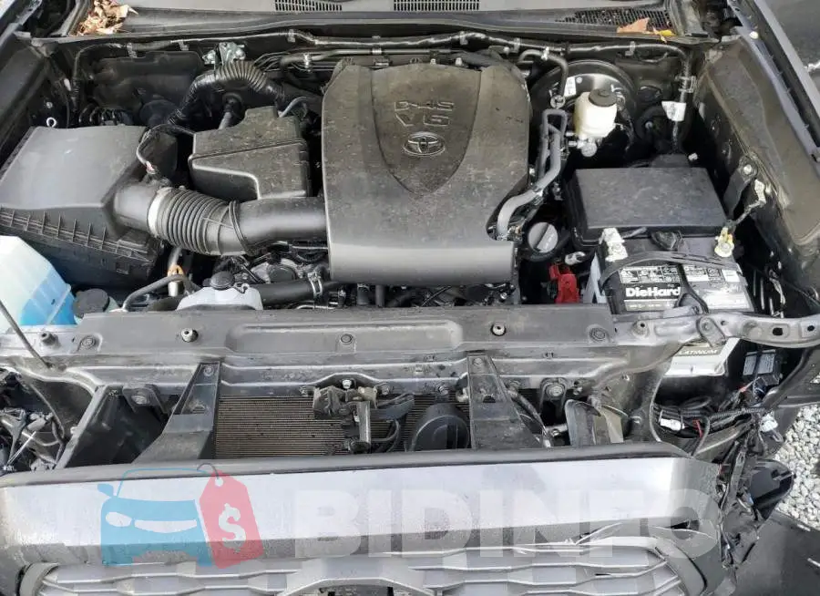 3TMCZ5AN9LM295479 Photo# 11