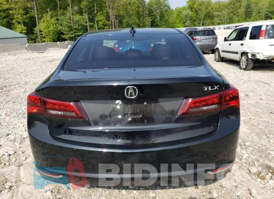 19UUB2F37GA005839 Photo# 6