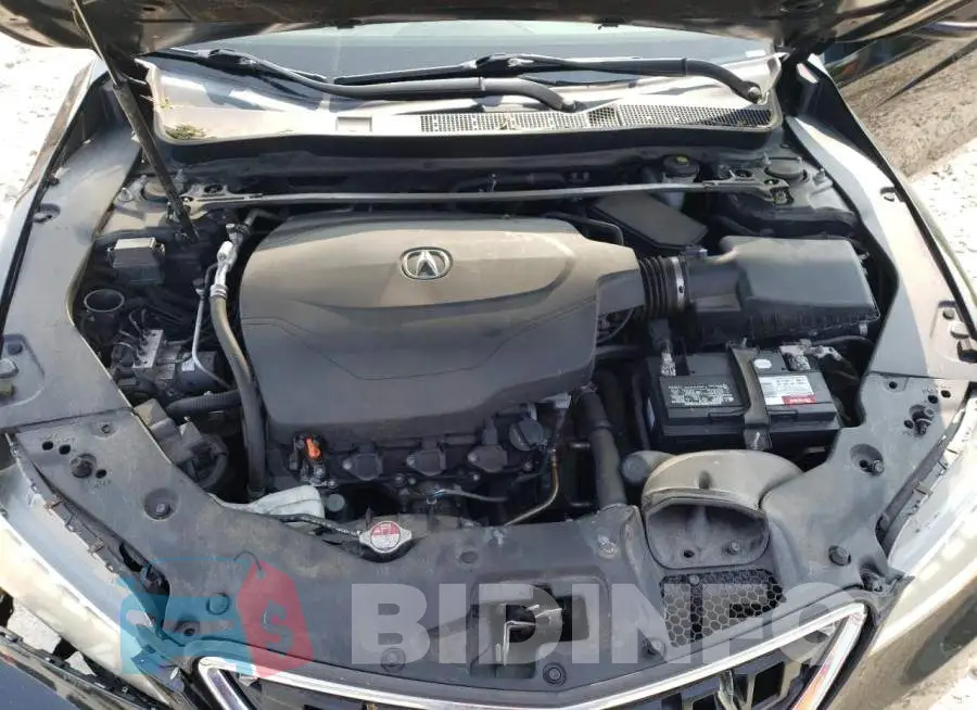 19UUB2F37GA005839 Photo# 11
