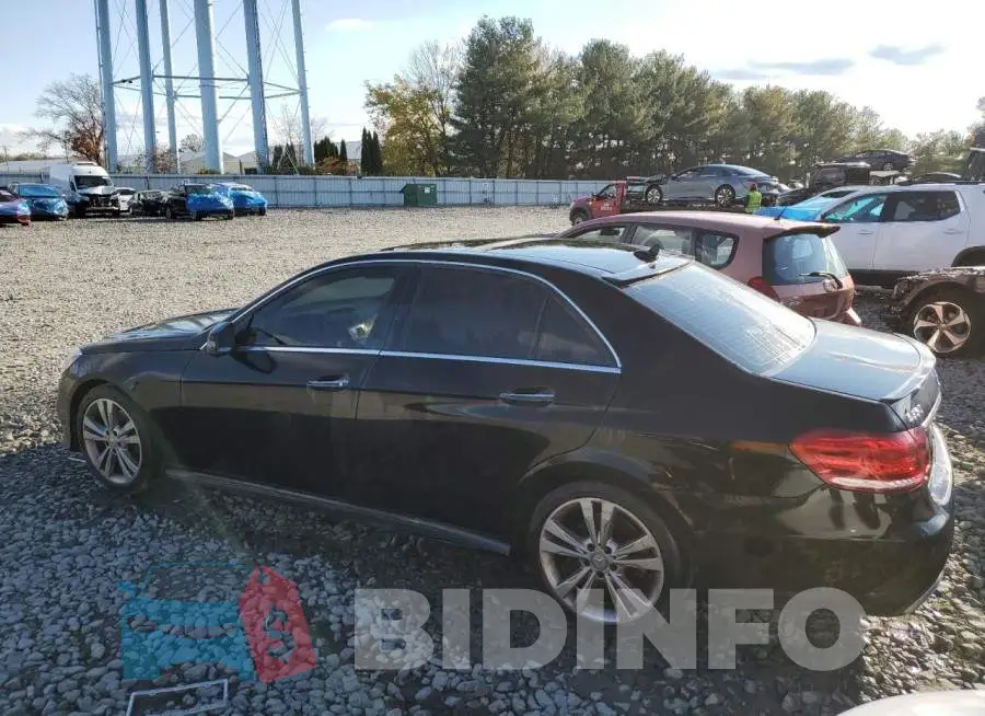 WDDHF8JB6EA819621 Photo# 2