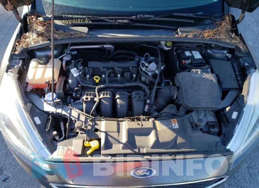 1FADP3E24GL328514 Photo# 11