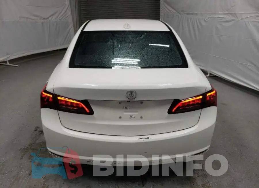 19UUB2F34FA020572 Photo# 6