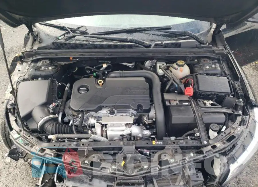 1G1ZD5ST9JF278841 Photo# 11