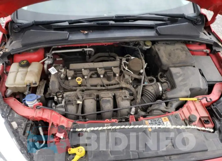 1FADP3F24GL204452 Photo# 11