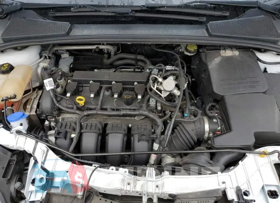 1FADP3F27GL331583 Photo# 11