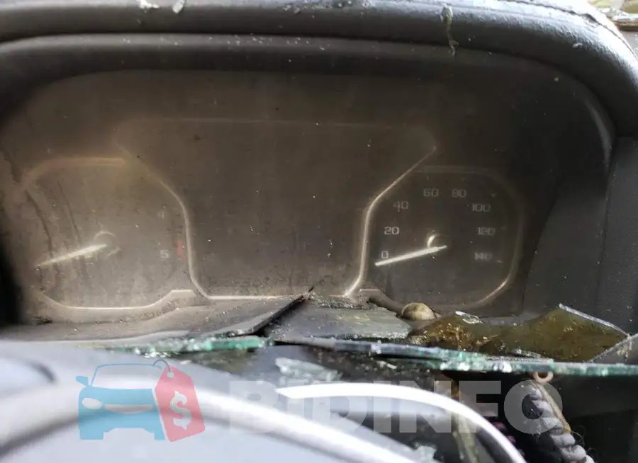 1GT49WEY0LF299953 Photo# 9