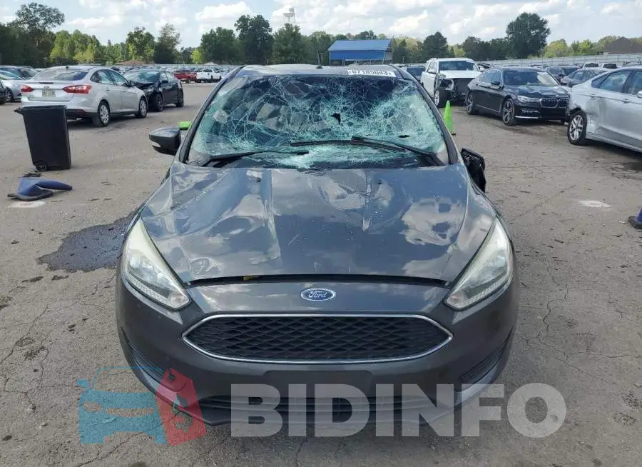 1FADP3F24HL252261 Photo# 5