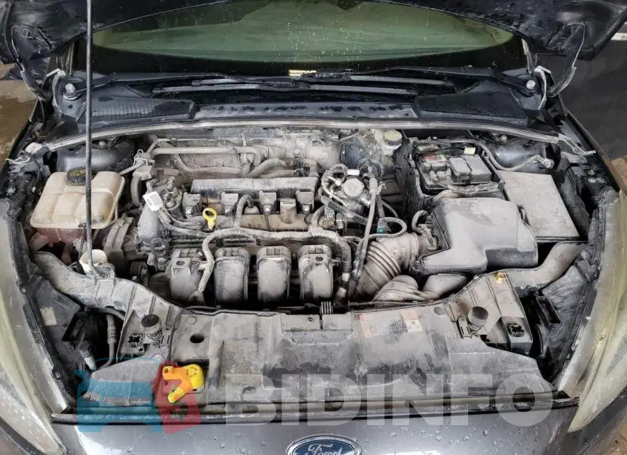 1FADP3F25GL360757 Photo# 11