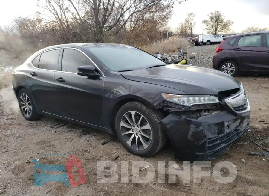 19UUB1F37FA005686 Photo# 4