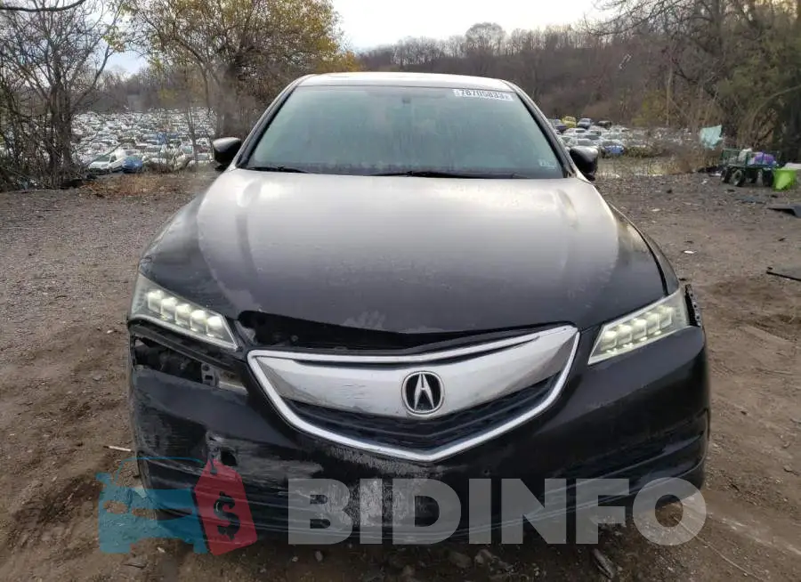 19UUB1F37FA005686 Photo# 5