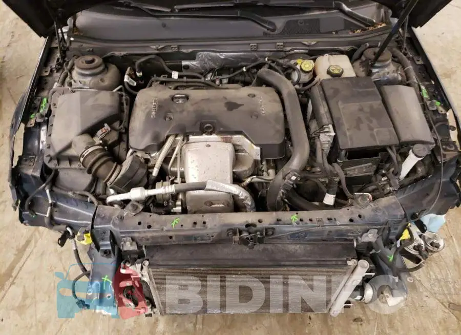 2G4GK5EXXE9259809 Photo# 11
