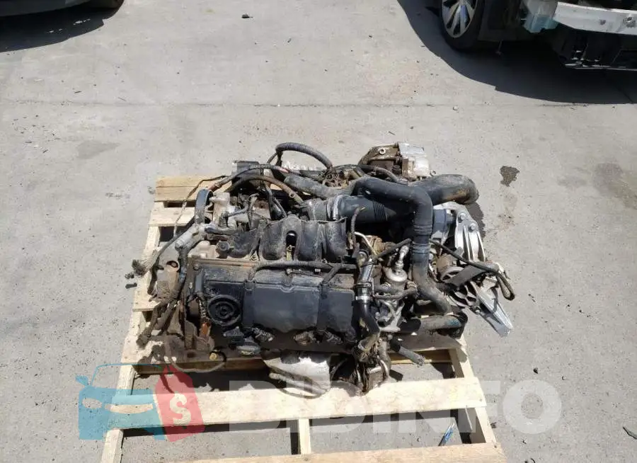 WMWZG3C52ET800328 Photo# 12