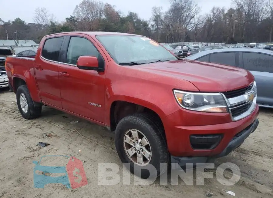 1GCGSAEA6F1158104 Photo# 4