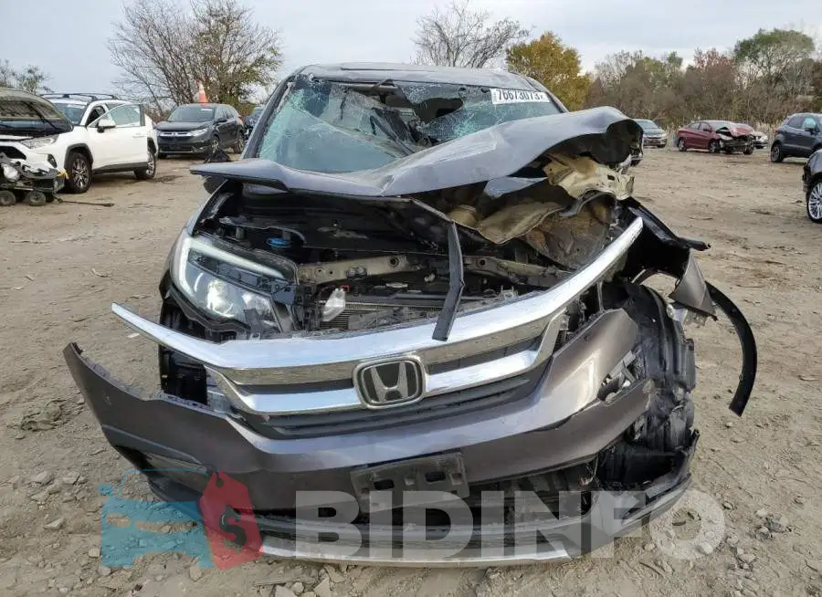 5FNYF6H59LB025084 Photo# 5