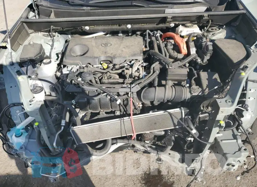 JTMB6RFV3MD517127 Photo# 11