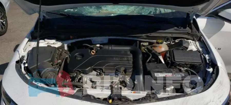 1G1ZD5ST4LF055416 Photo# 11