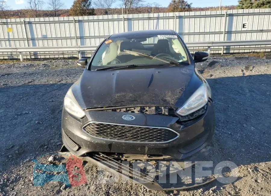 1FADP3F29GL375892 Photo# 5