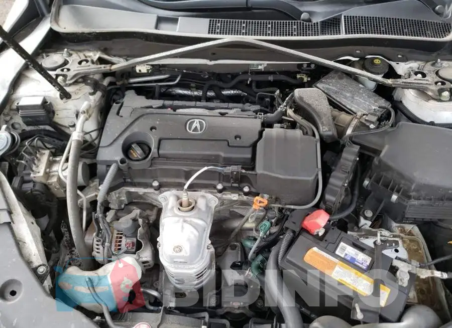 19UUB1F52FA801540 Photo# 11