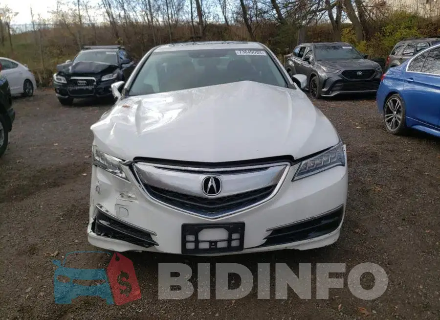 19UUB1F52FA801540 Photo# 5