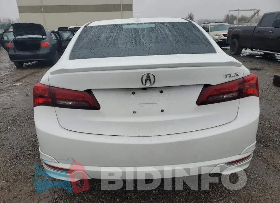 19UUB2F51FA001060 Photo# 6