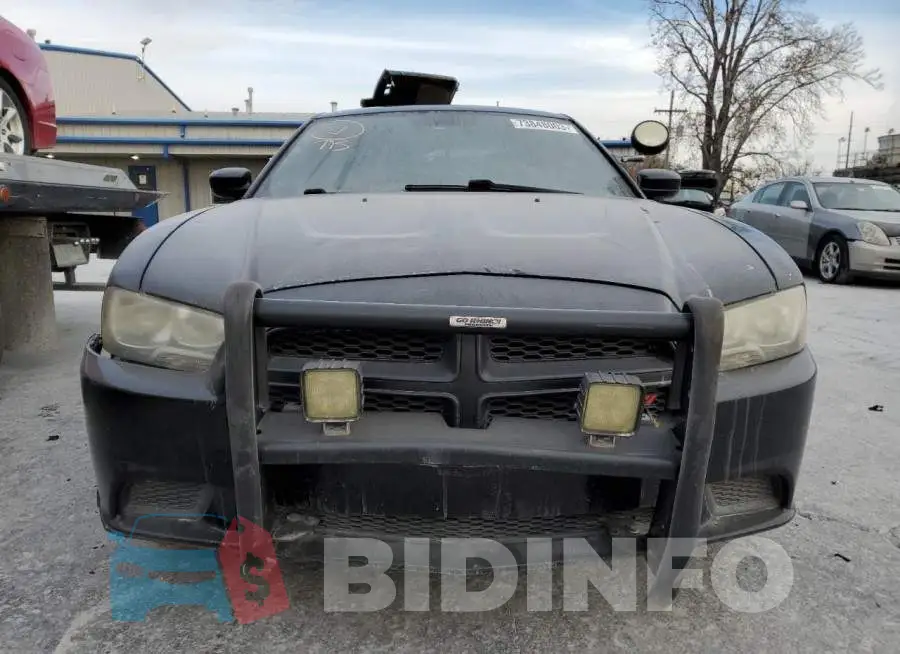 2C3CDXAT1EH256626 Photo# 5
