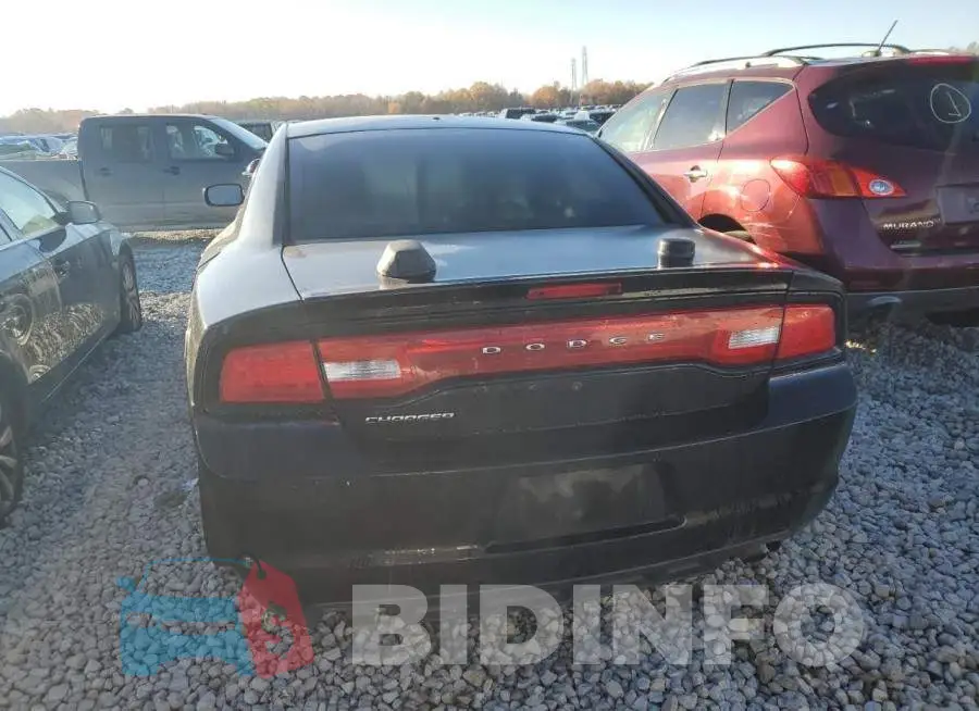 2C3CDXAT3EH184182 Photo# 6