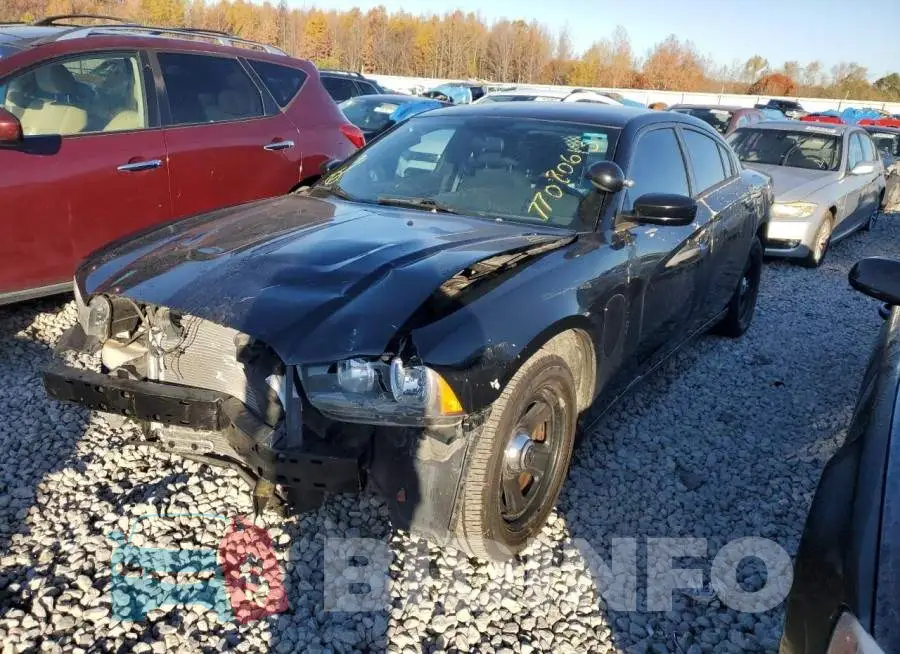 2C3CDXAT3EH184182 Photo# 1