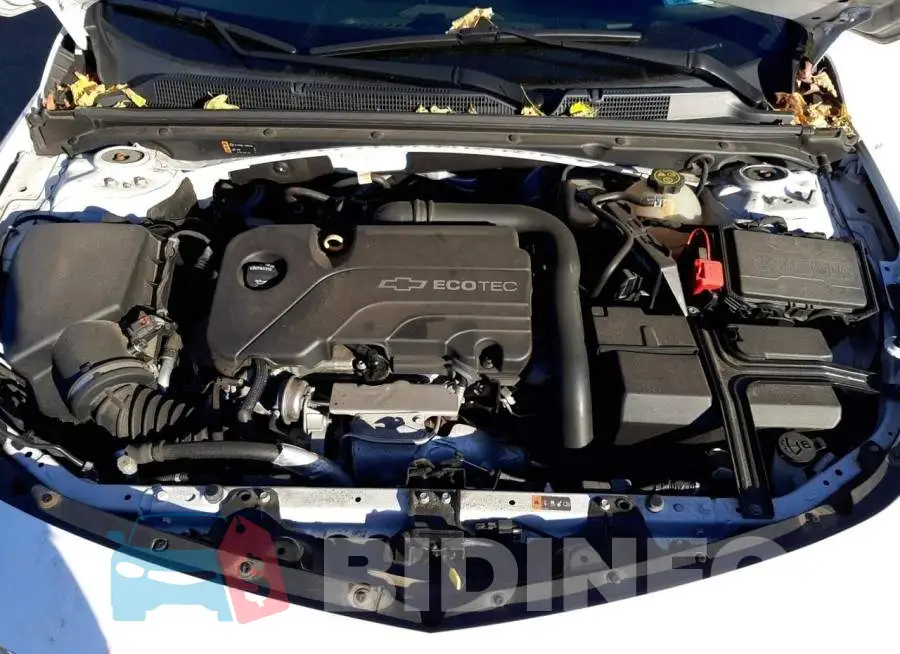 1G1ZD5ST6JF106217 Photo# 11