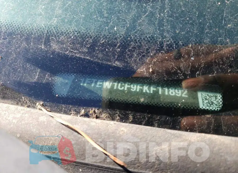 1FTEW1CF9FKF11892 Photo# 12