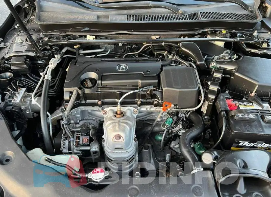 19UUB1F31GA001621 Photo# 7