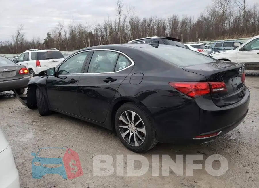 19UUB1F35FA019408 Photo# 2