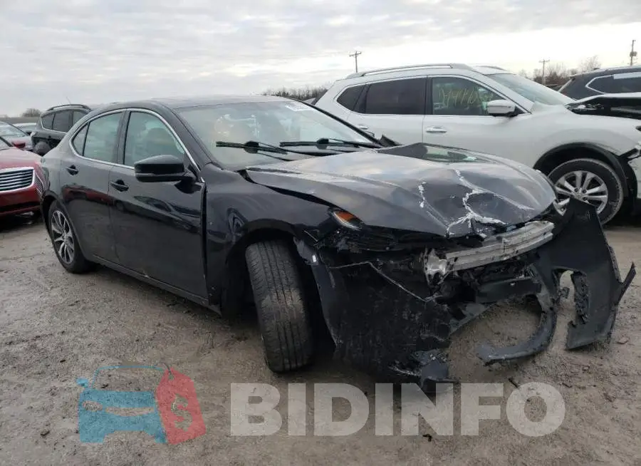 19UUB1F35FA019408 Photo# 4