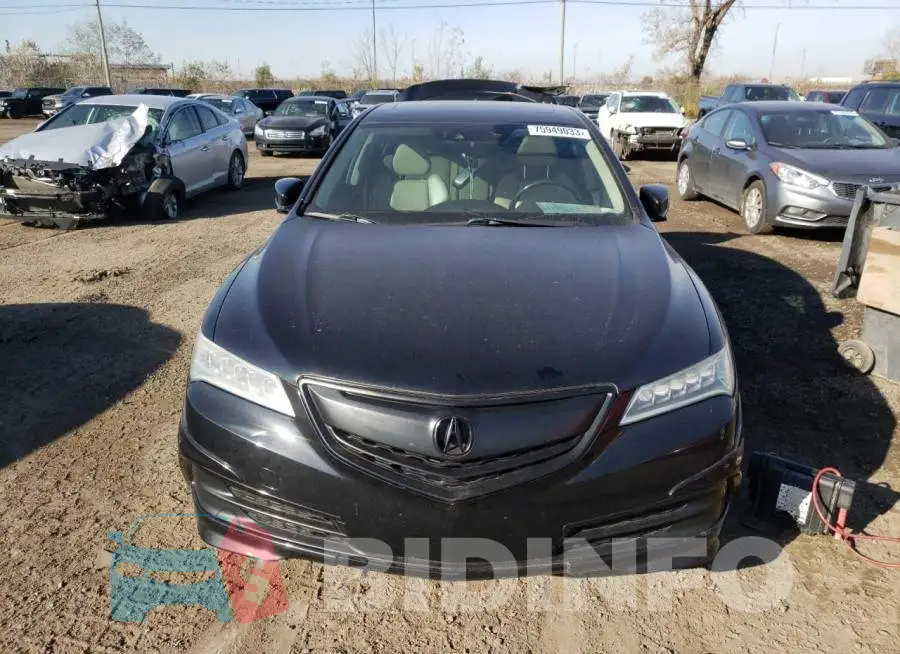 19UUB3F5XFA800924 Photo# 5