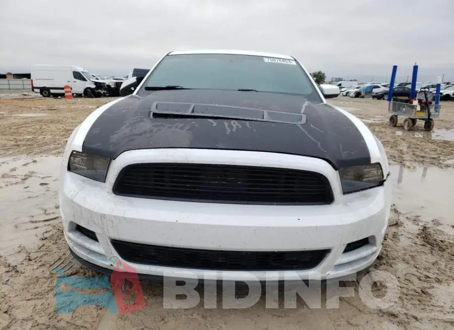 1ZVBP8CF8E5316434 Photo# 5