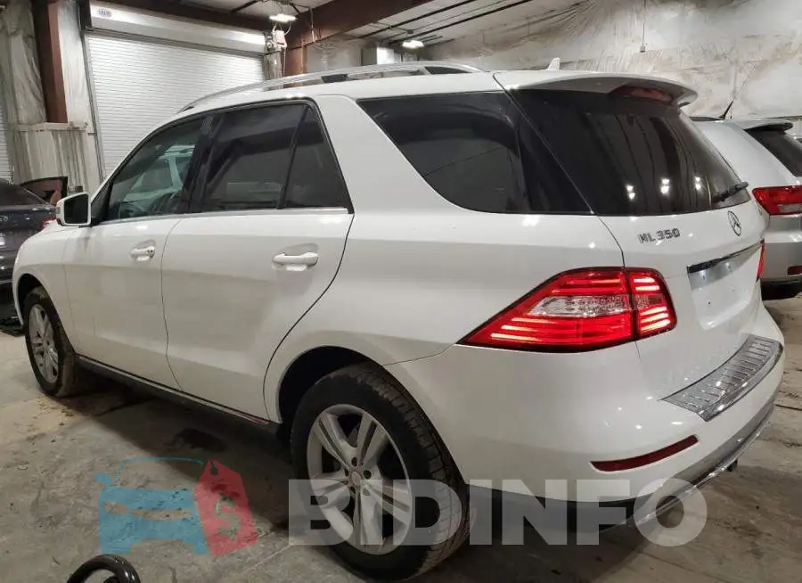 4JGDA5HB6FA511177 Photo# 2