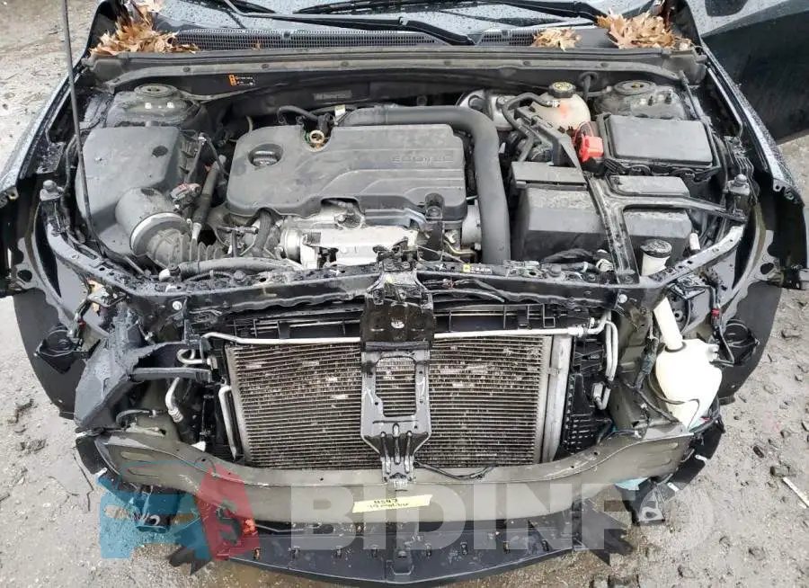 1G1ZD5STXKF163263 Photo# 11