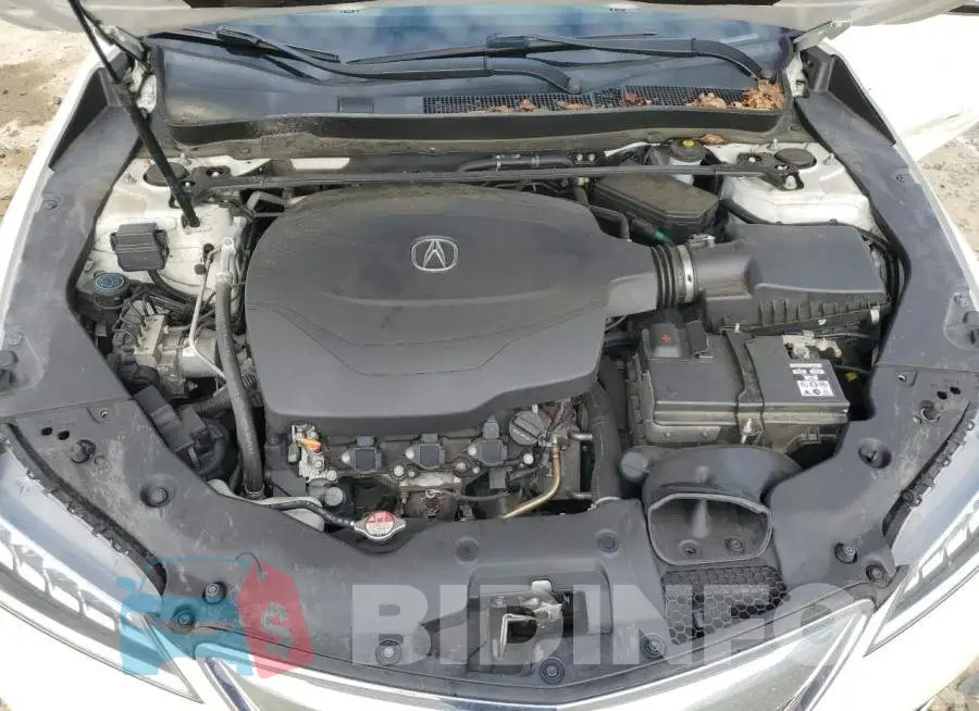 19UUB2F31FA008251 Photo# 11