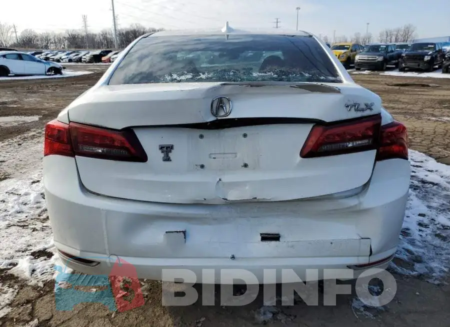 19UUB1F51FA022615 Photo# 6