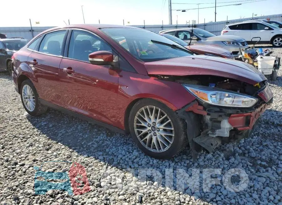 1FADP3F26GL250963 Photo# 4