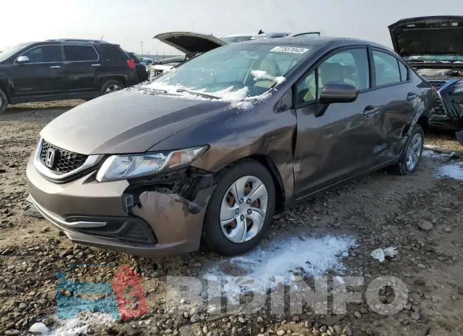 19XFB2F53EE219343 Photo# 1