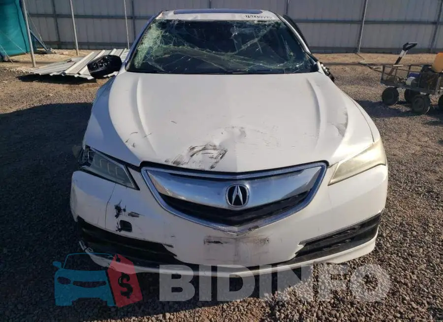 19UUB2F59FA026398 Photo# 5