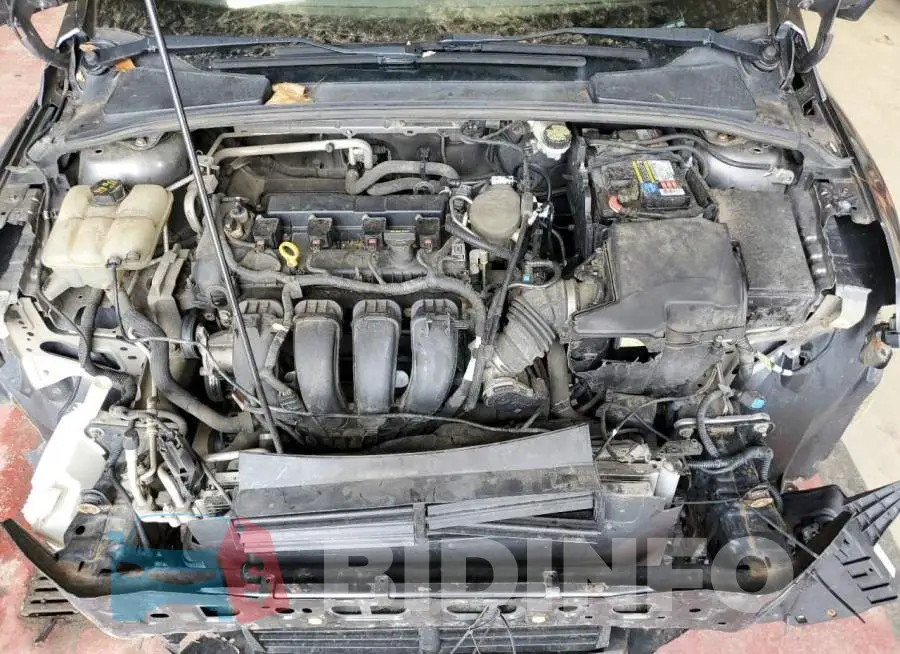 1FADP3F24EL125652 Photo# 11