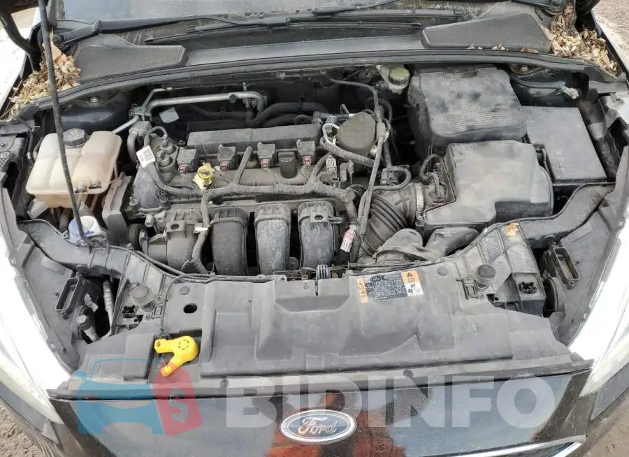 1FADP3K25FL210636 Photo# 11