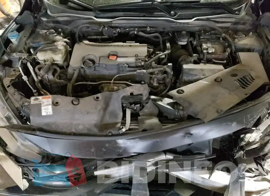 19XFC2F7XGE095105 Photo# 11